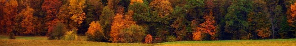 Shiatsu Bordeaux  Toucher Pour la Vie -  "Réveillez vos ressources naturelles pour atteindre l'harmonie avec vous-même !"